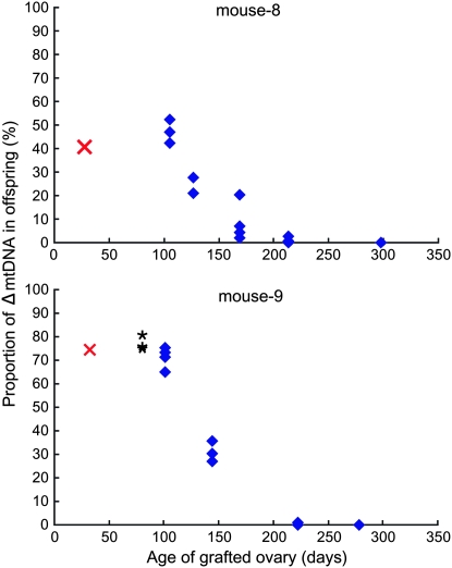 Figure 4.—