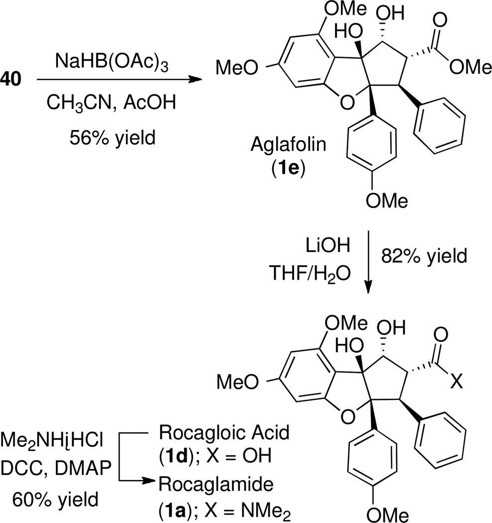 Scheme 19