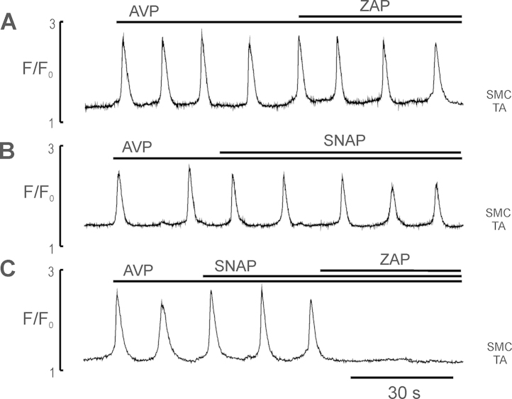 Fig. 5