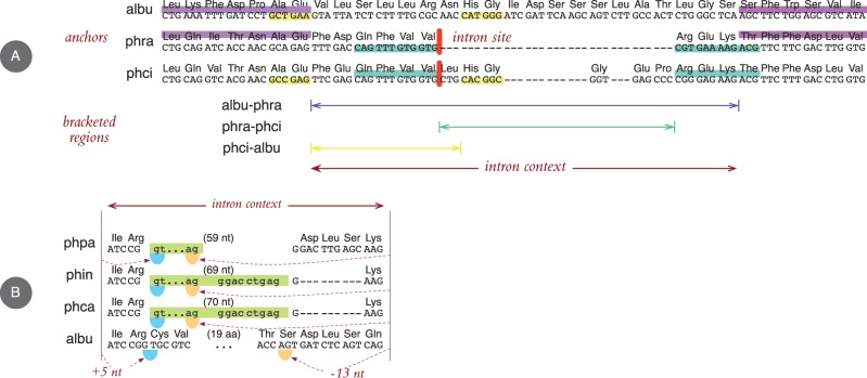 Fig. 3.—