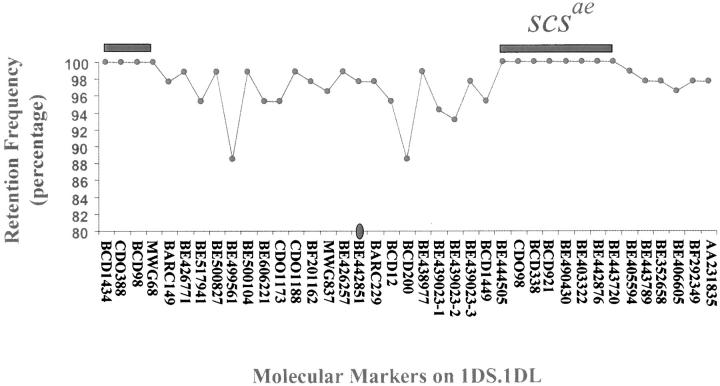 Figure 6.—