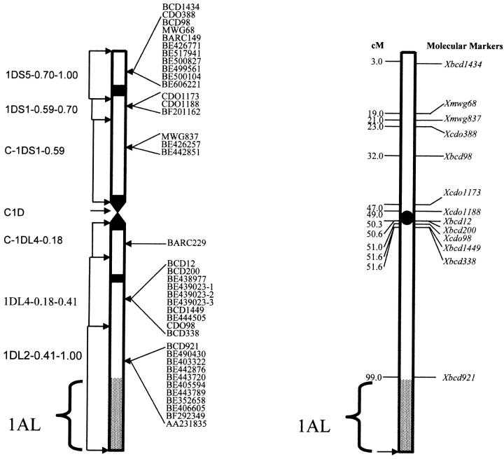 Figure 2.—