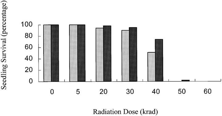 Figure 3.—