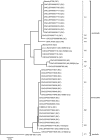 Figure 12a.