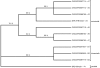 Figure 12b.