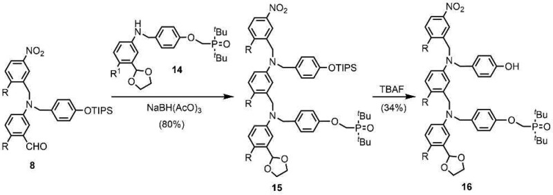 Scheme 3