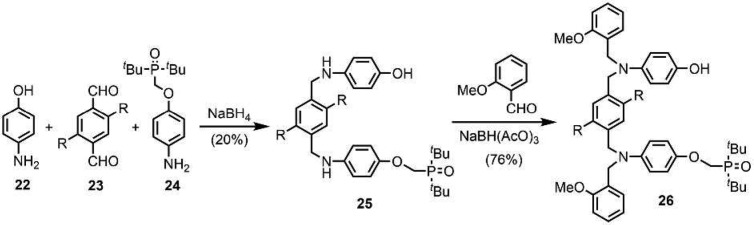 Scheme 5