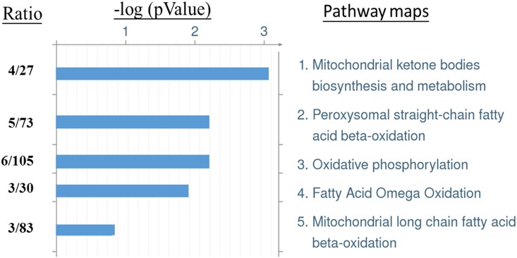 Fig 5