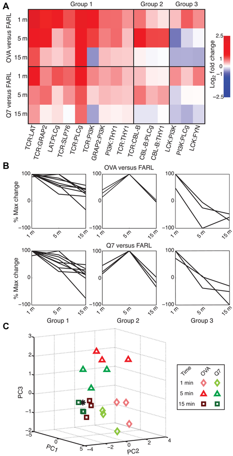 Fig. 3.