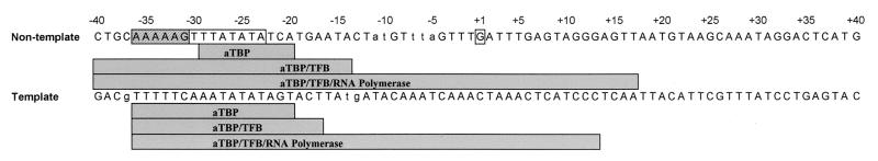 FIG. 6