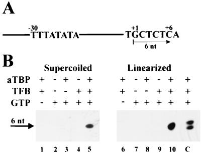 FIG. 1