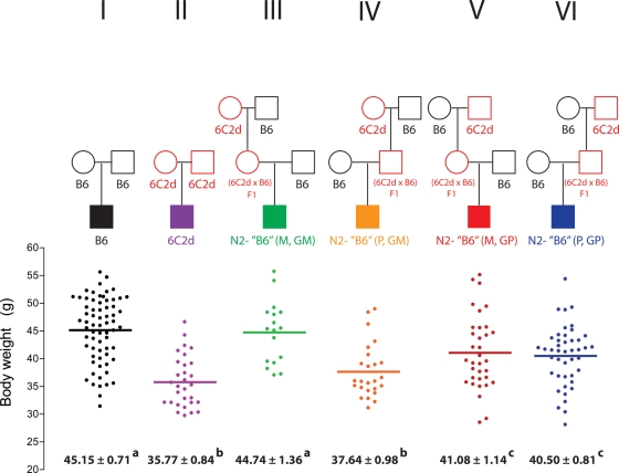 Figure 4.