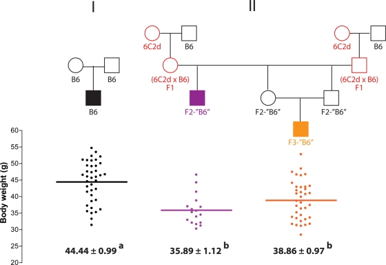 Figure 3.