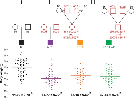 Figure 2.