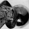 Fig. 15