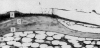 Fig. 8