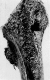 Fig. 7