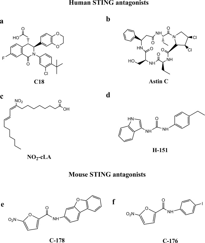 Fig. 5