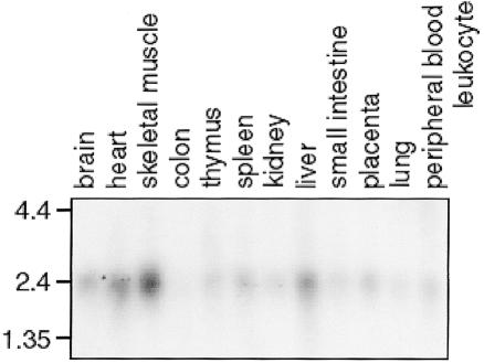 Figure  2