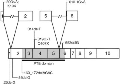 Figure  3