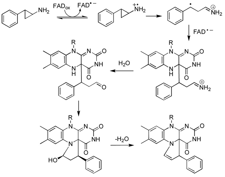 Scheme 2