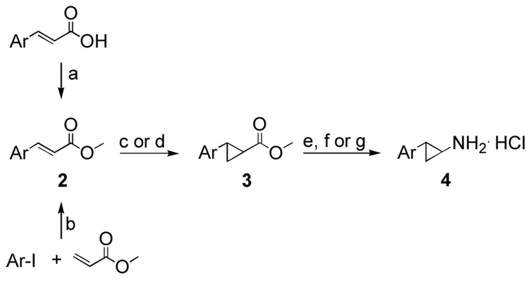 Scheme 3