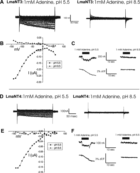 FIGURE 4.