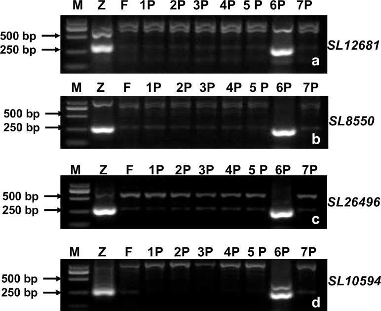 Fig 5