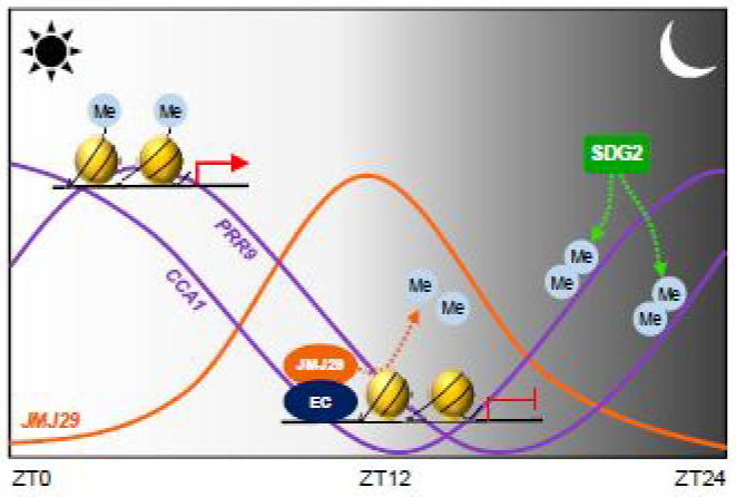 Figure 6