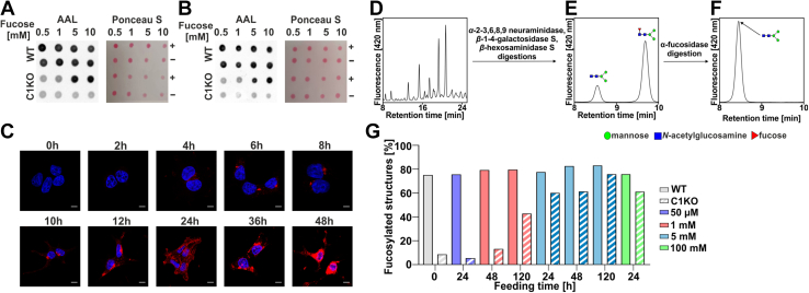 Figure 2