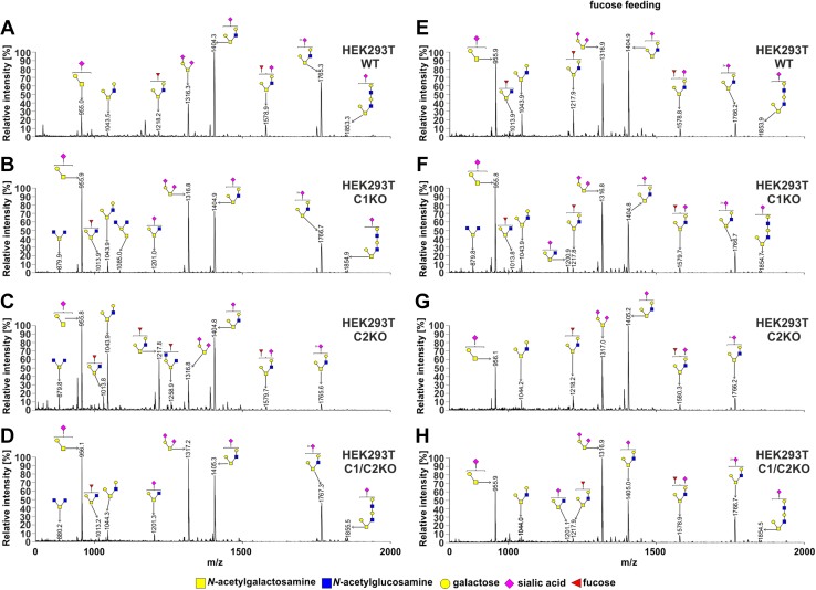 Figure 4