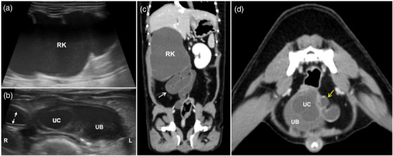 FIGURE 1