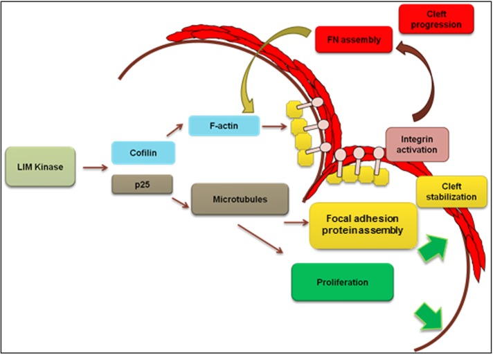 FIGURE 11: