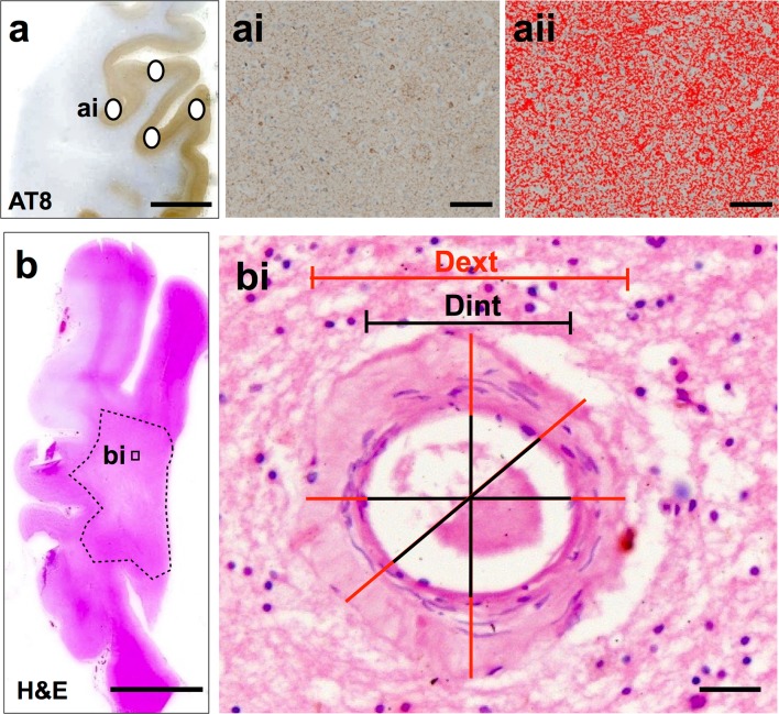 Fig. 3