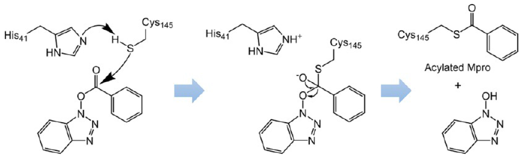 Figure 29.