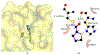 Figure 30.