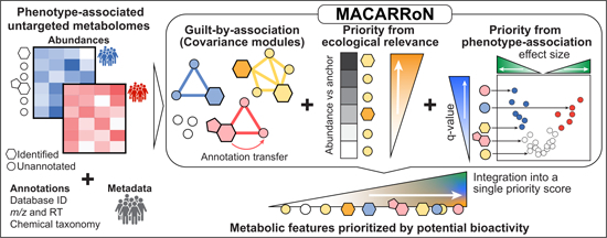 graphic file with name 44320_2024_27_Figa_HTML.jpg