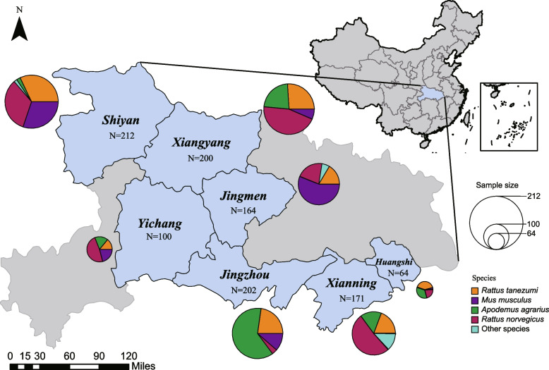 Fig. 1