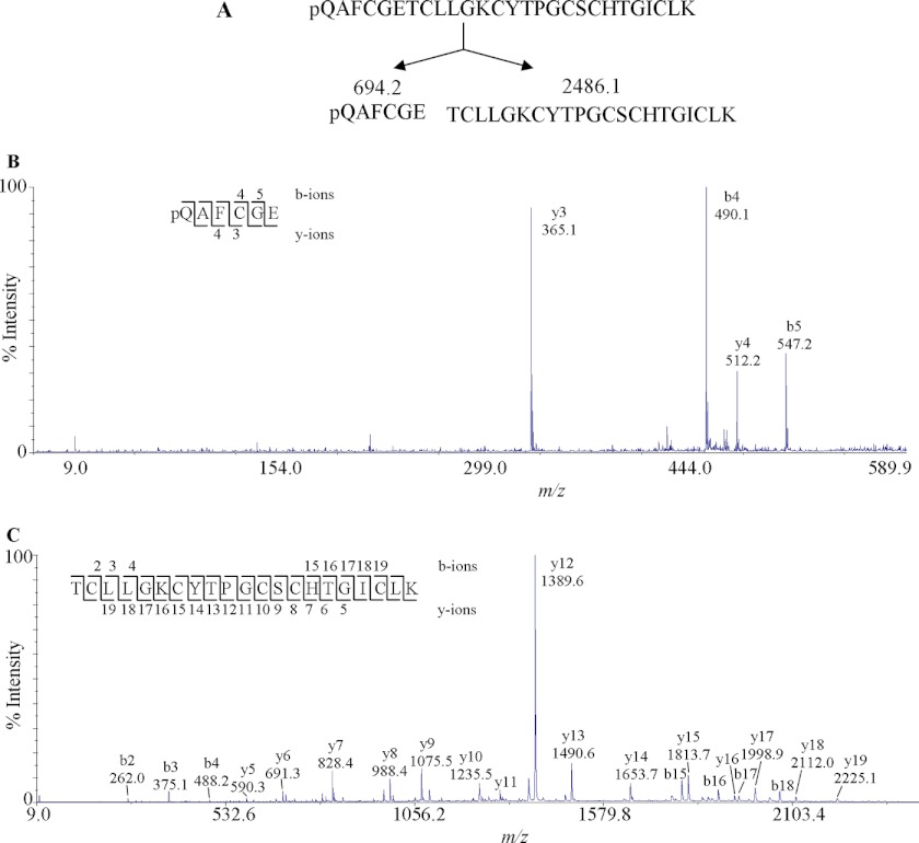 FIGURE 2.