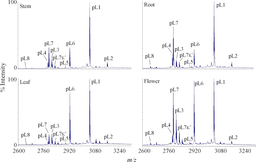 FIGURE 4.