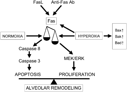 Figure 9.