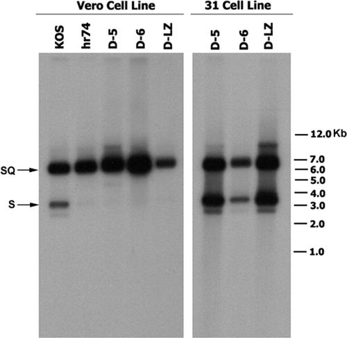 FIG. 4.