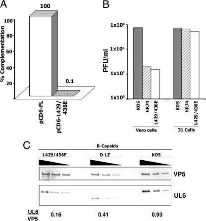 FIG. 8.