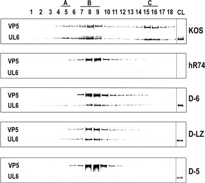 FIG. 5.