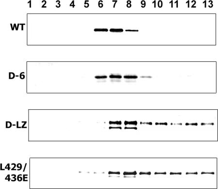 FIG. 10.