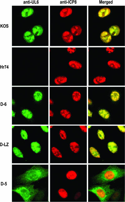 FIG. 6.