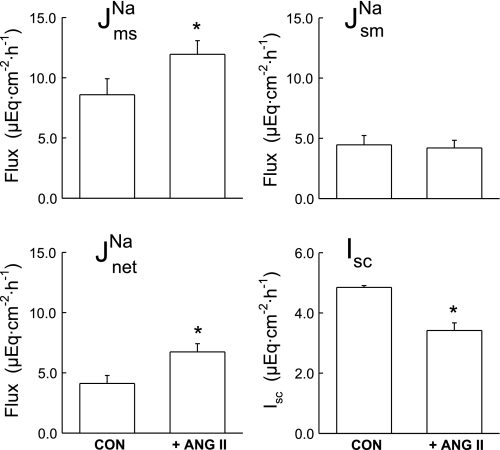 Fig. 6.