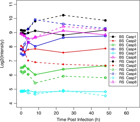 Fig. 7.