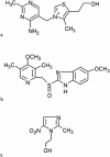 FIG. 1.