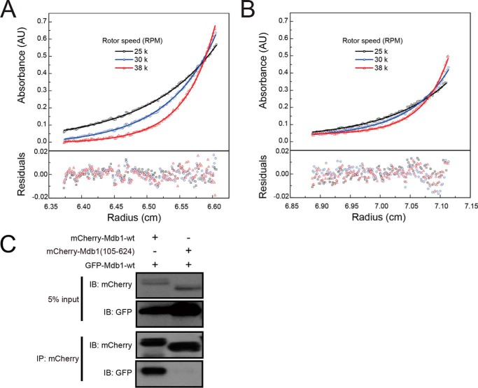 FIGURE 4.